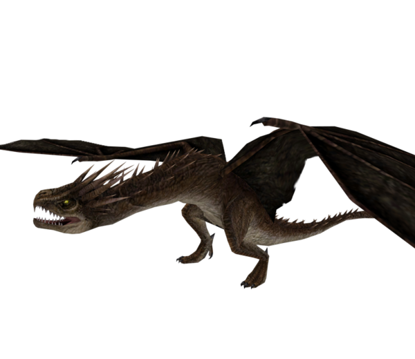 My Image 26