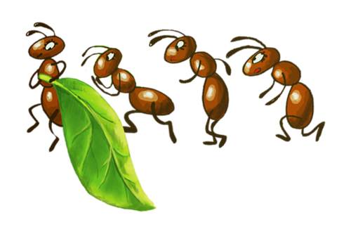 Fourmis majuscules pour grand écran