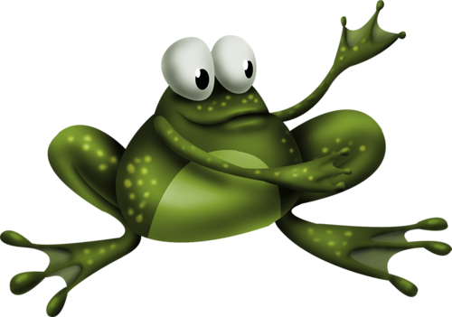 peluche grenouille à personnaliser avec une photo pour la rendre unique