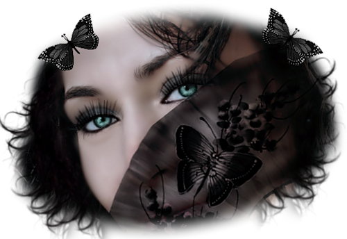 Afficher l'image d'origine