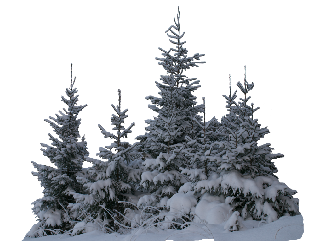 Christmas Tree Png Snow Background Free Tree Transparent Background