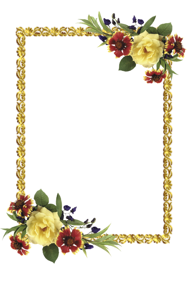 cadre fleurs