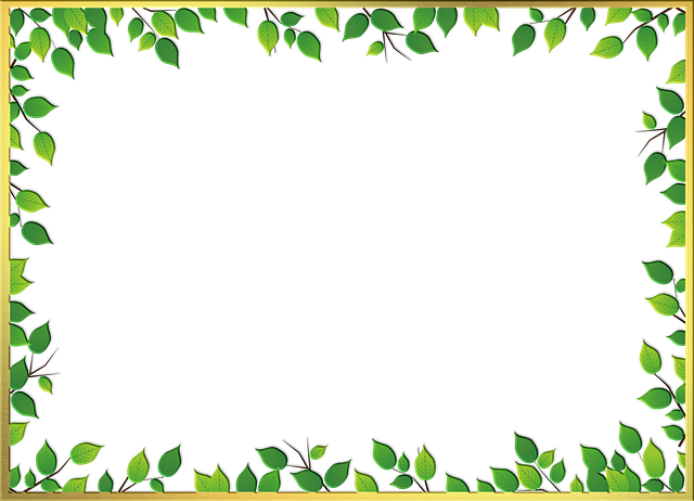 cadre feuilles vertes
